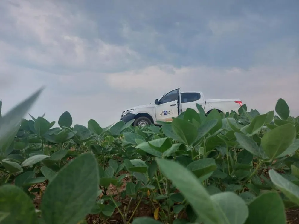 Vazio sanitário da soja já está em vigência em Mato Grosso