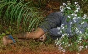 Homem é achado morto com sinais de violência em Campo Novo do Parecis